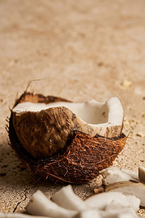 Coconut oil – natural ingredient in handmade Neem Tulsi Soap