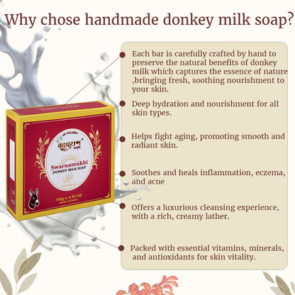 Donkey Milk Soap | Natural Handmade Body & Face Cleanser