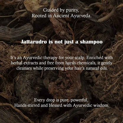 Jattarudro Mild Hair Shampoo