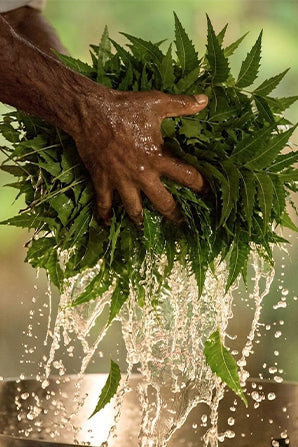 Neem Tulsi Ayurvedic handmade soap for natural skincare